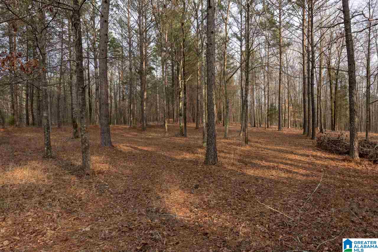 Deer Run Road, Unit 2 Alabaster, AL 35007 - Photo 2 of 6