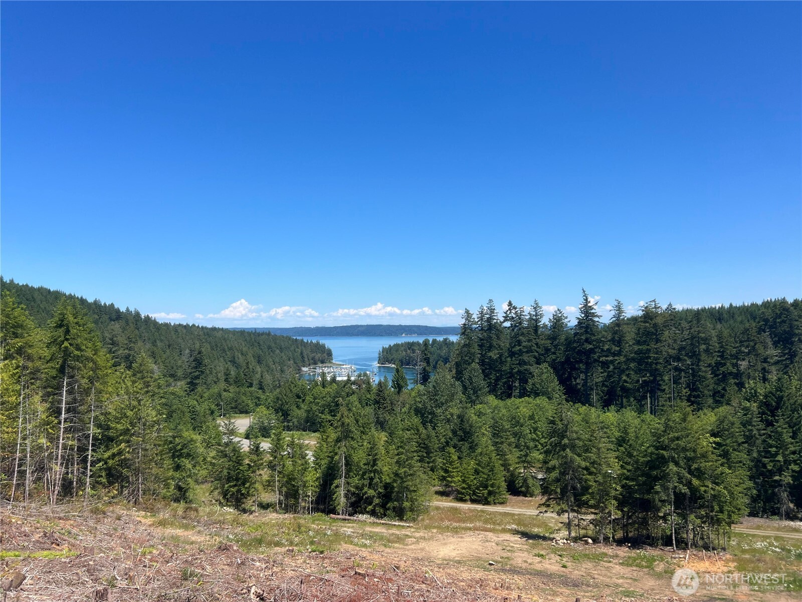 3-xxxx Mt Jupiter Road Brinnon, WA 98320 - Photo 1 of 31 a view of a city with lush green forest
