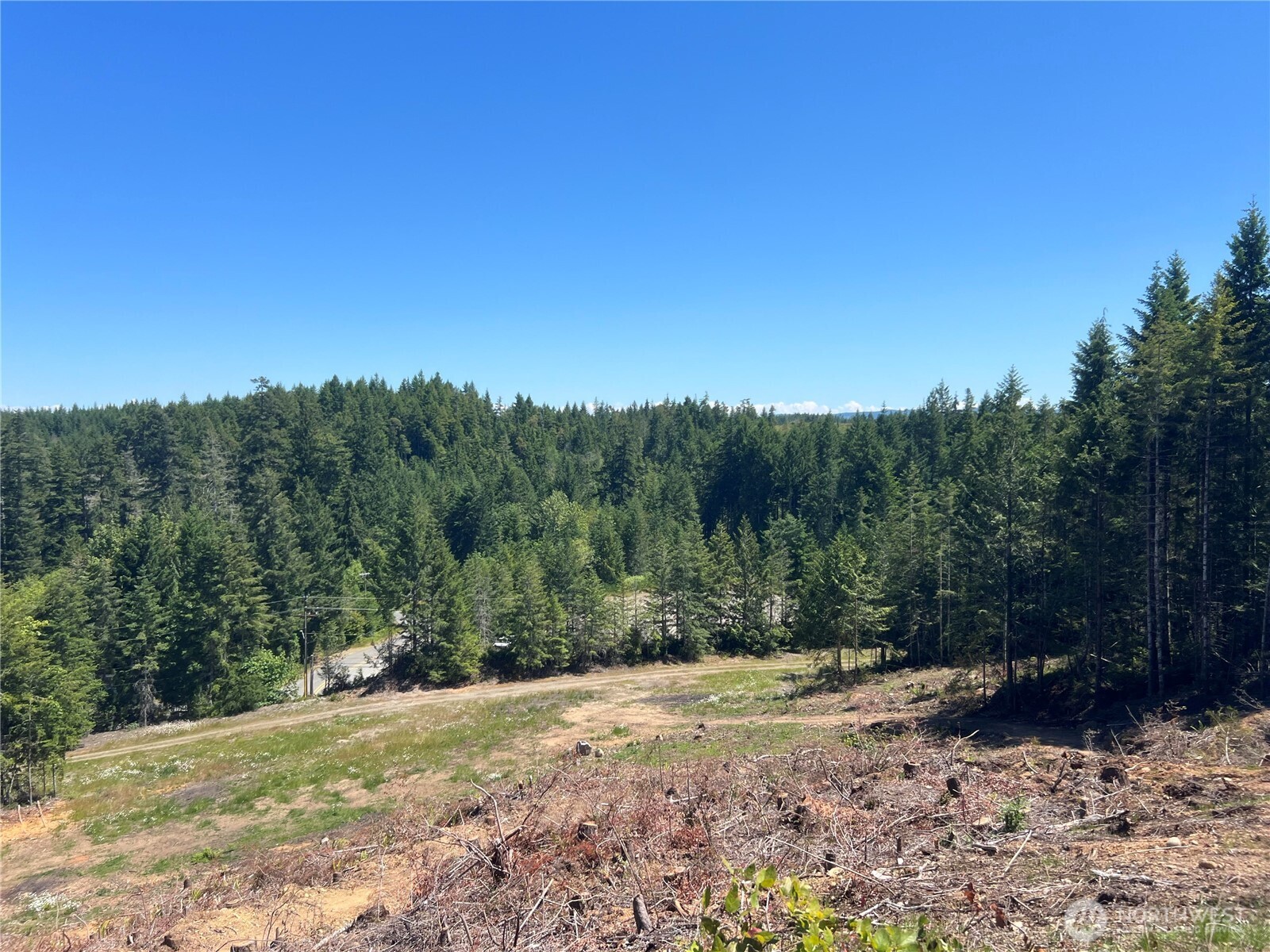 3-xxxx Mt Jupiter Road Brinnon, WA 98320 - Photo 12 of 31 a view of a yard with a tree
