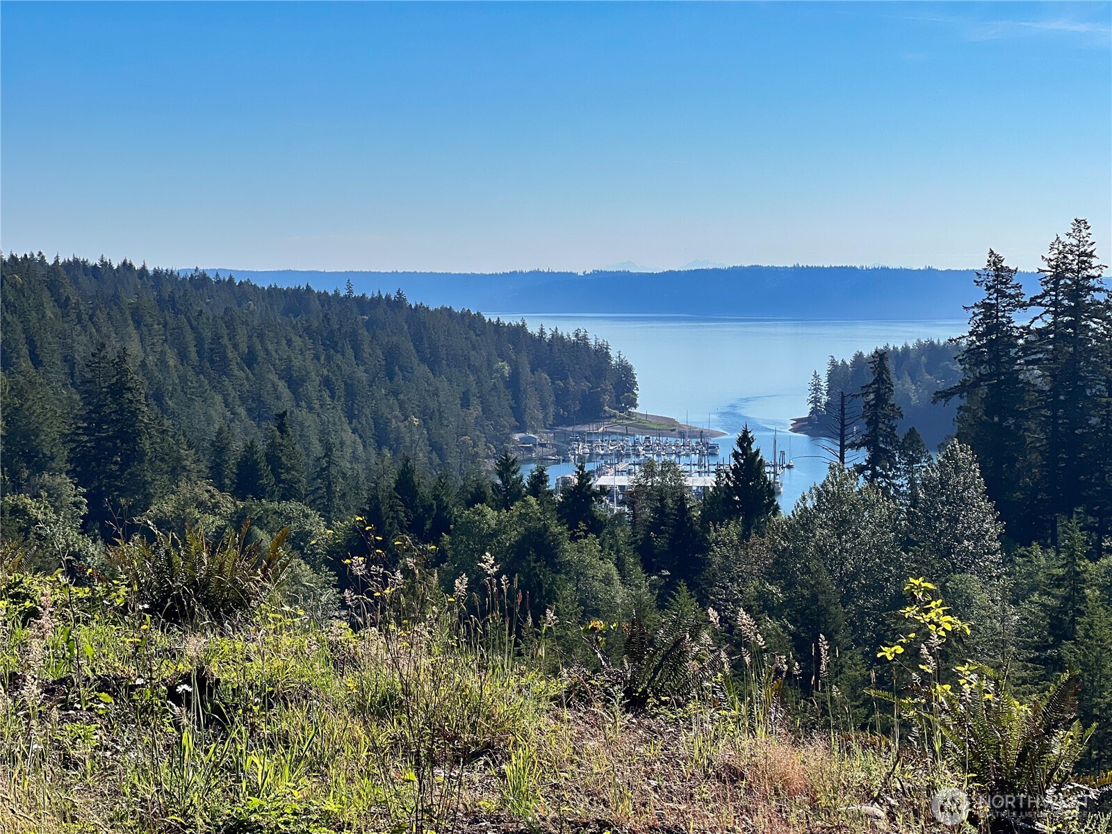 3-xxxx Mt Jupiter Road Brinnon, WA 98320 - Photo 14 of 31 a view of lake and mountain