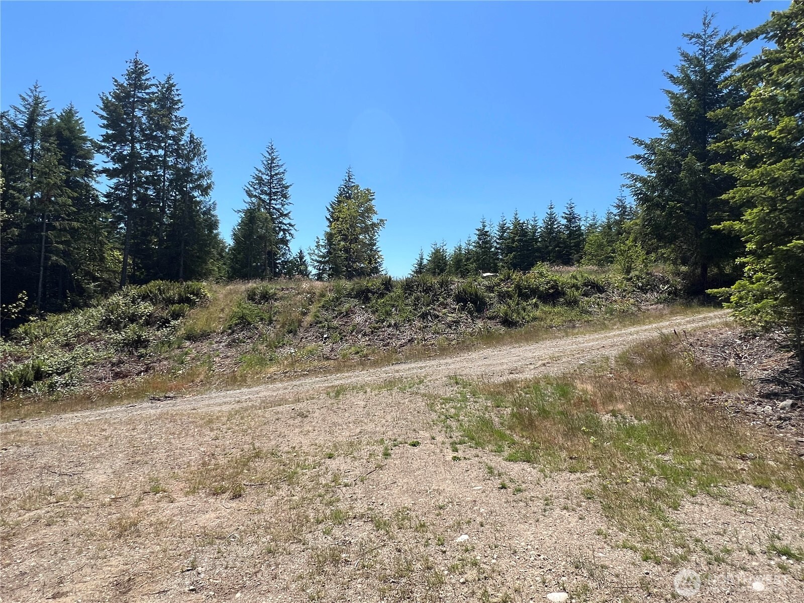 3-xxxx Mt Jupiter Road Brinnon, WA 98320 - Photo 15 of 31 a view of a yard with trees in the background