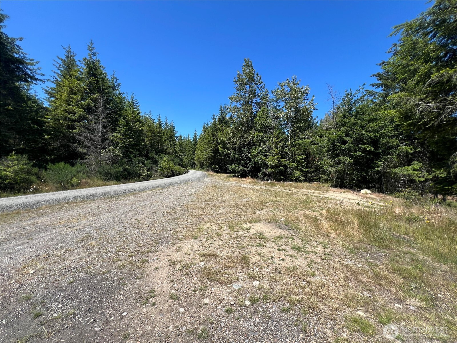 3-xxxx Mt Jupiter Road Brinnon, WA 98320 - Photo 17 of 31 a view of backyard with green space