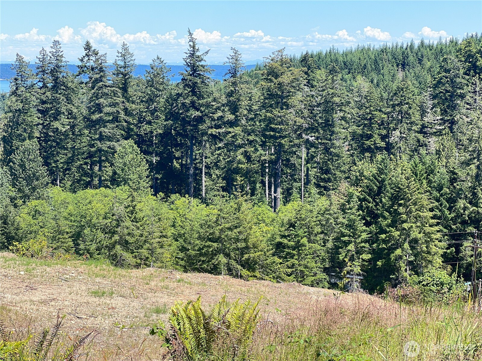 3-xxxx Mt Jupiter Road Brinnon, WA 98320 - Photo 19 of 31