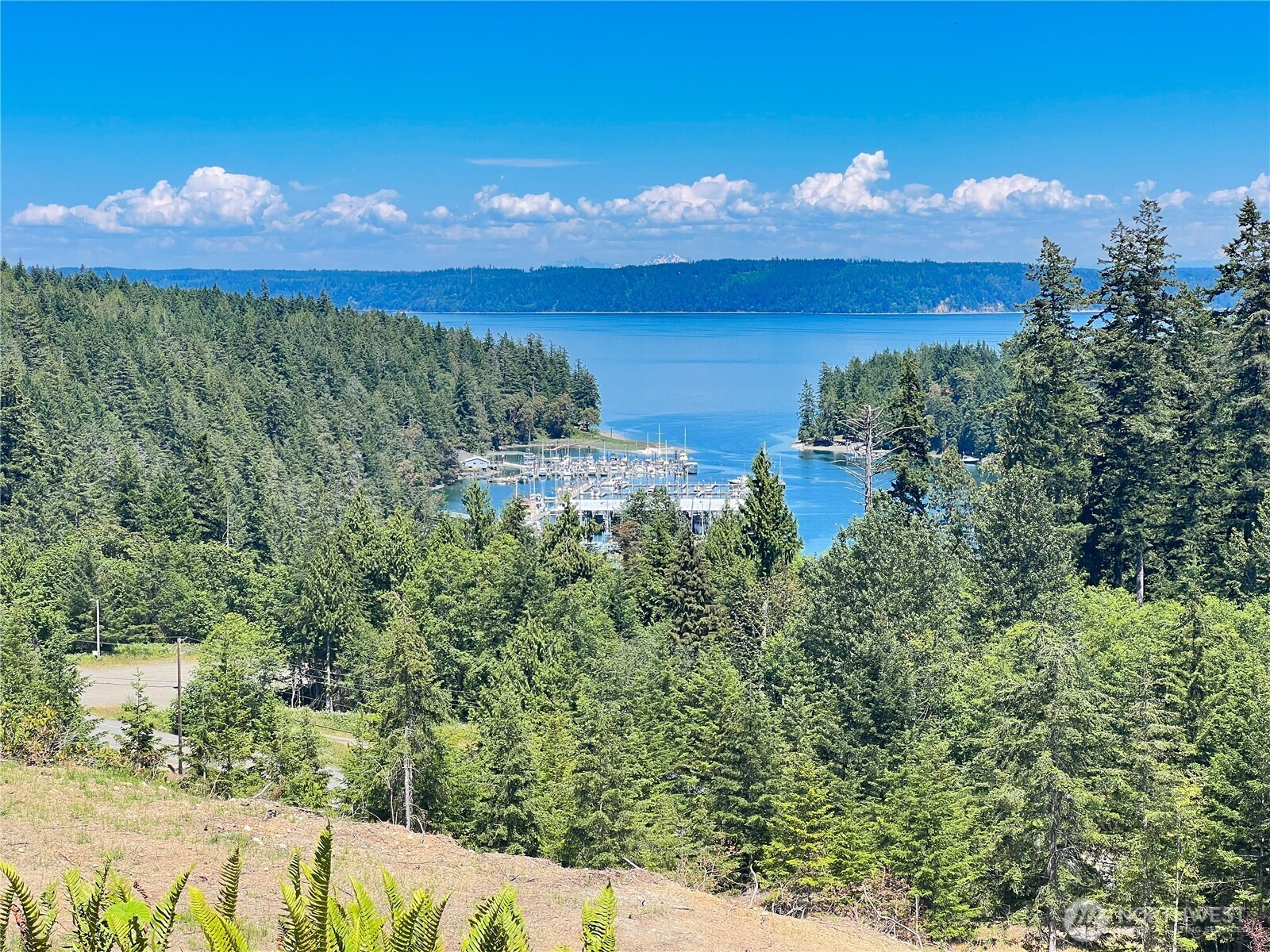 3-xxxx Mt Jupiter Road Brinnon, WA 98320 - Photo 20 of 31 a view of a lake from a yard