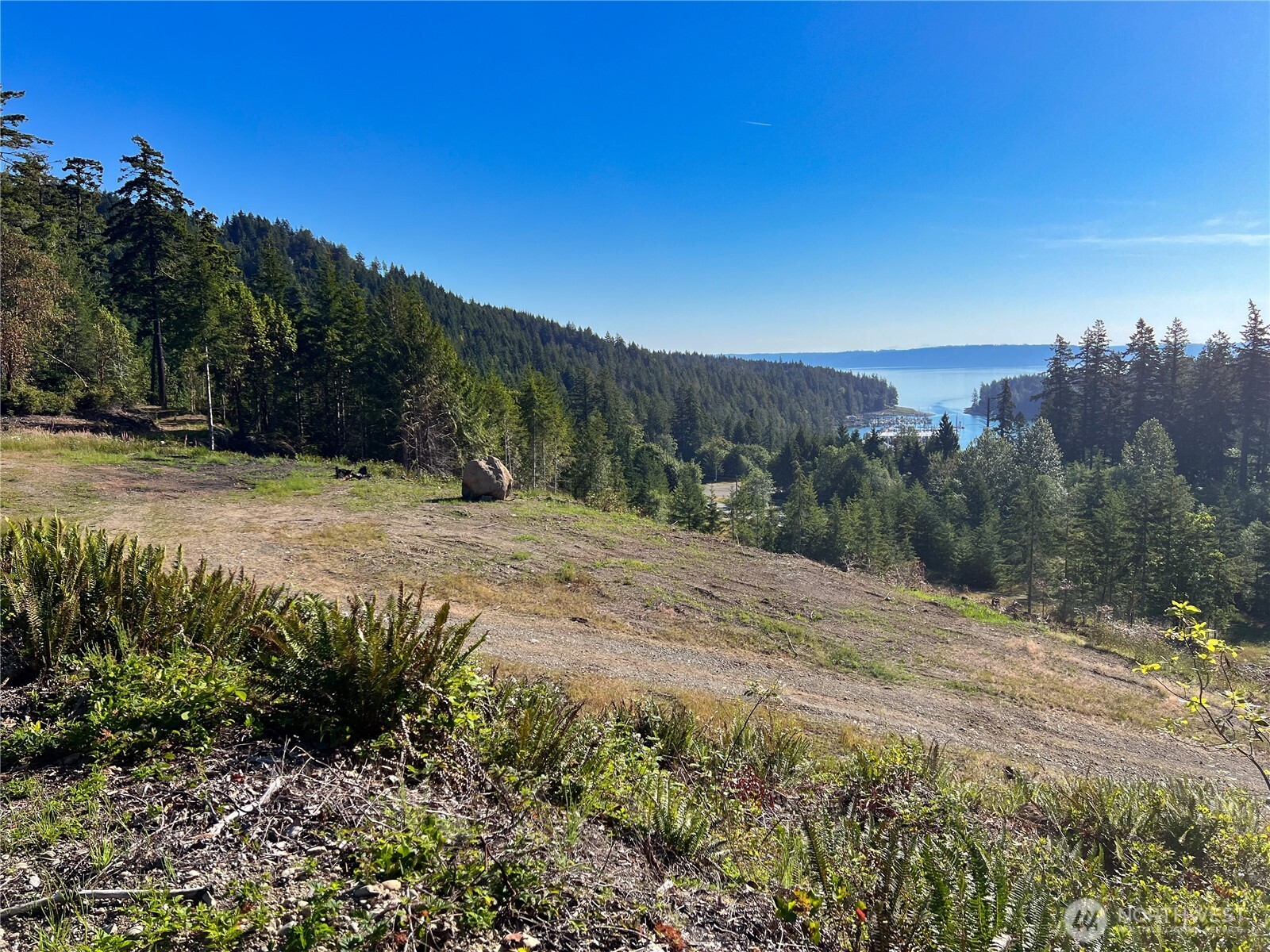 3-xxxx Mt Jupiter Road Brinnon, WA 98320 - Photo 21 of 31 a view of a pathway with a yard