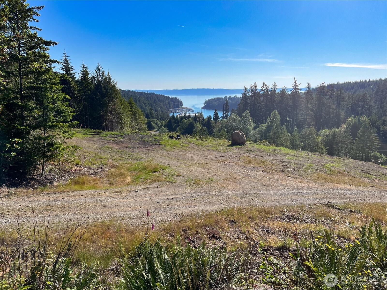 3-xxxx Mt Jupiter Road Brinnon, WA 98320 - Photo 22 of 31 a view of a yard with an trees