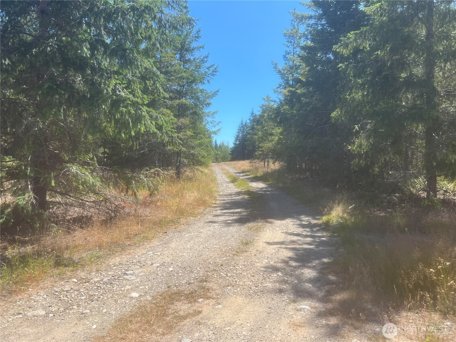 3-xxxx Mt Jupiter Road Brinnon, WA 98320 - Photo 27 of 31 a view of a yard with a tree