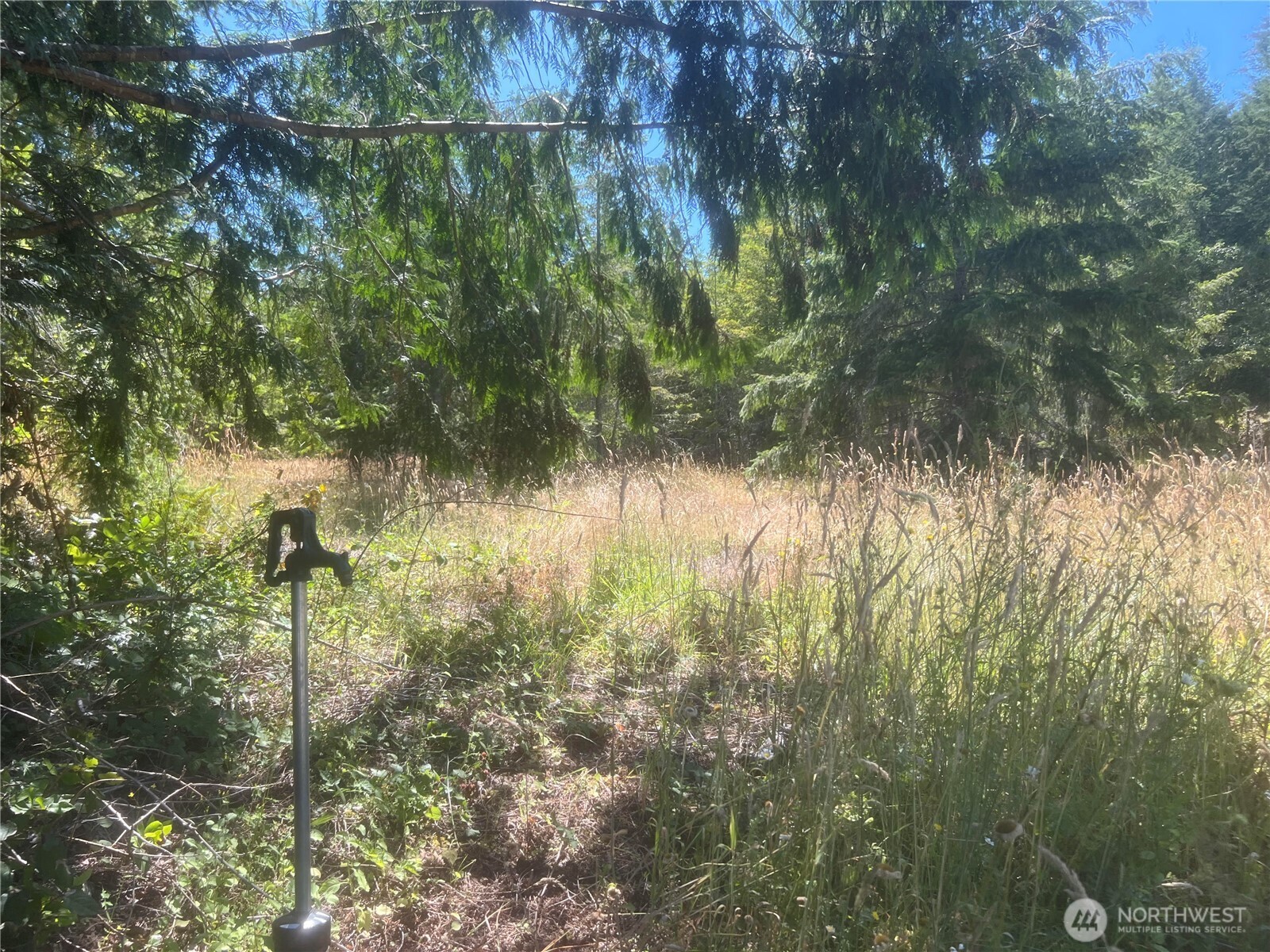 3-xxxx Mt Jupiter Road Brinnon, WA 98320 - Photo 28 of 31 a view of lake view