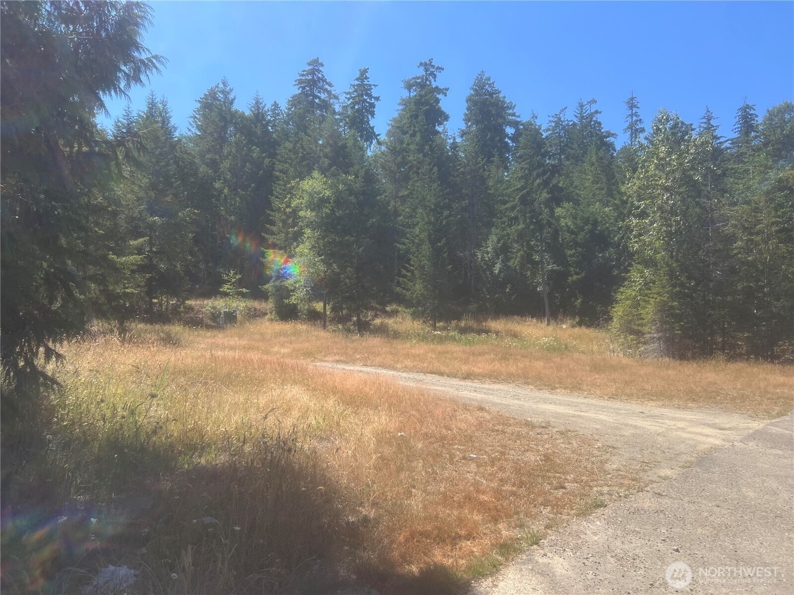 3-xxxx Mt Jupiter Road Brinnon, WA 98320 - Photo 29 of 31 a view of road and trees