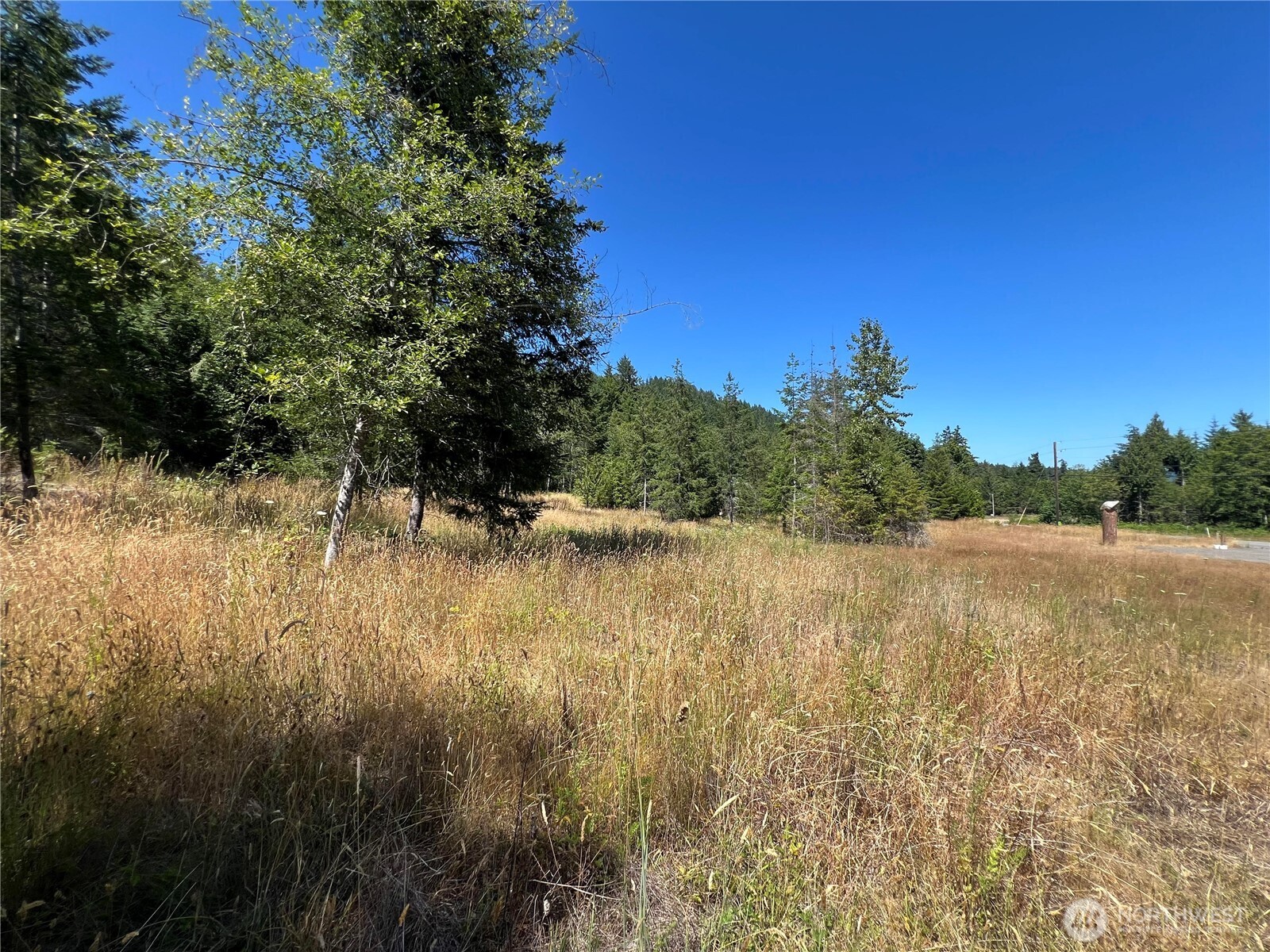 3-xxxx Mt Jupiter Road Brinnon, WA 98320 - Photo 31 of 31