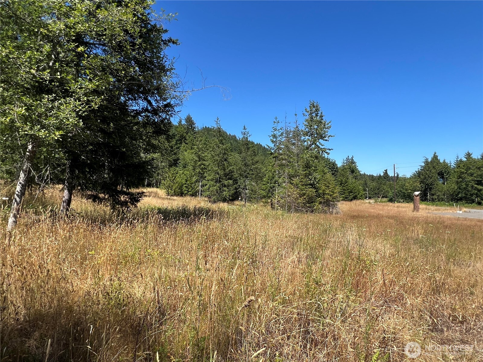 3-xxxx Mt Jupiter Road Brinnon, WA 98320 - Photo 4 of 31 a view of lake with green space