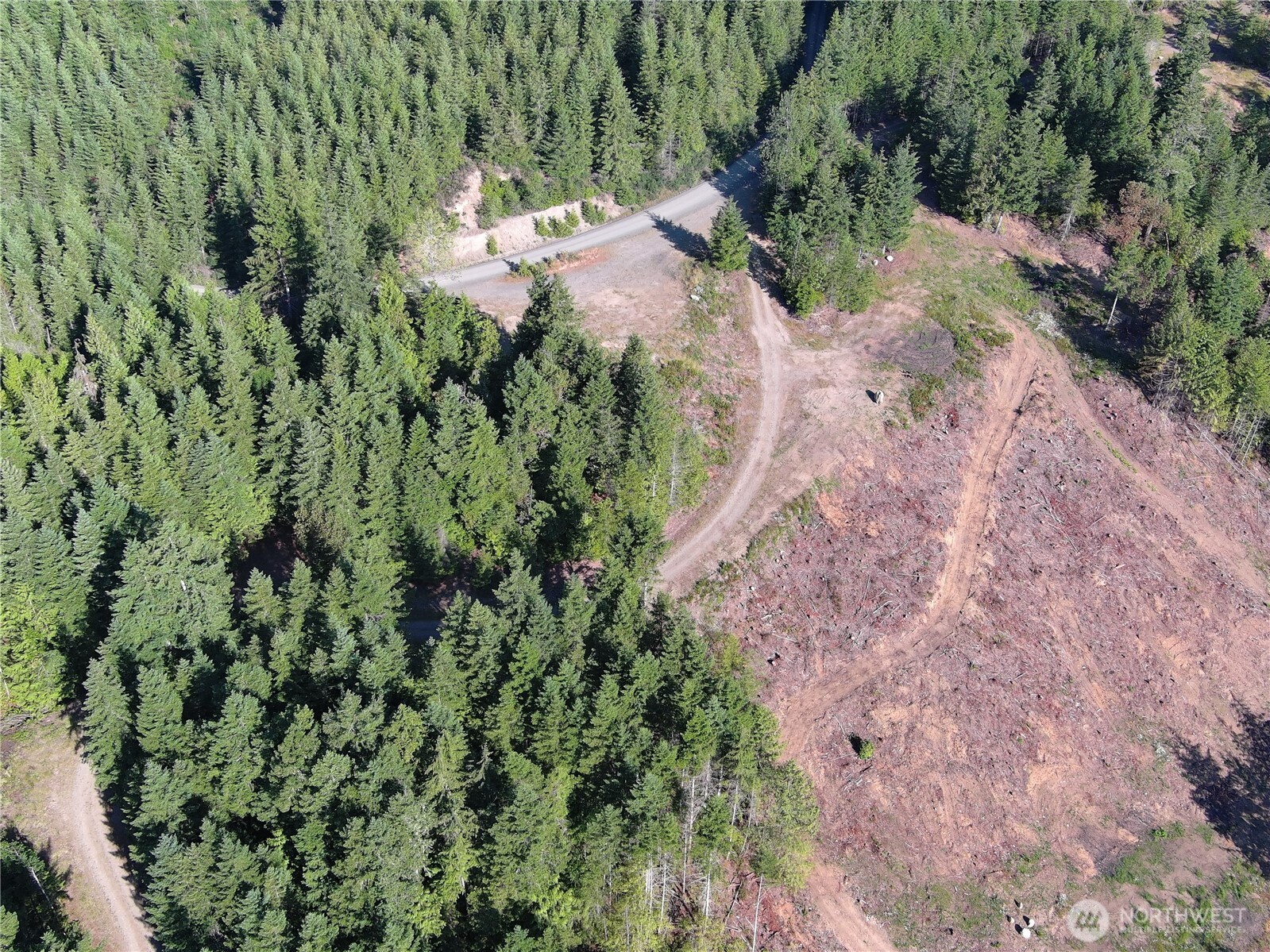 3-xxxx Mt Jupiter Road Brinnon, WA 98320 - Photo 6 of 31 a view of a forest with a tree