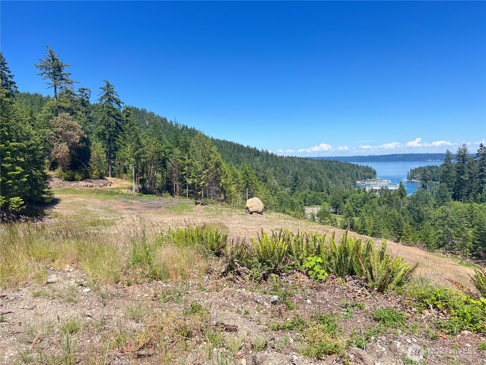 3-xxxx Mt Jupiter Road Brinnon, WA 98320 - Photo 7 of 31 a view of an outdoor space and a yard