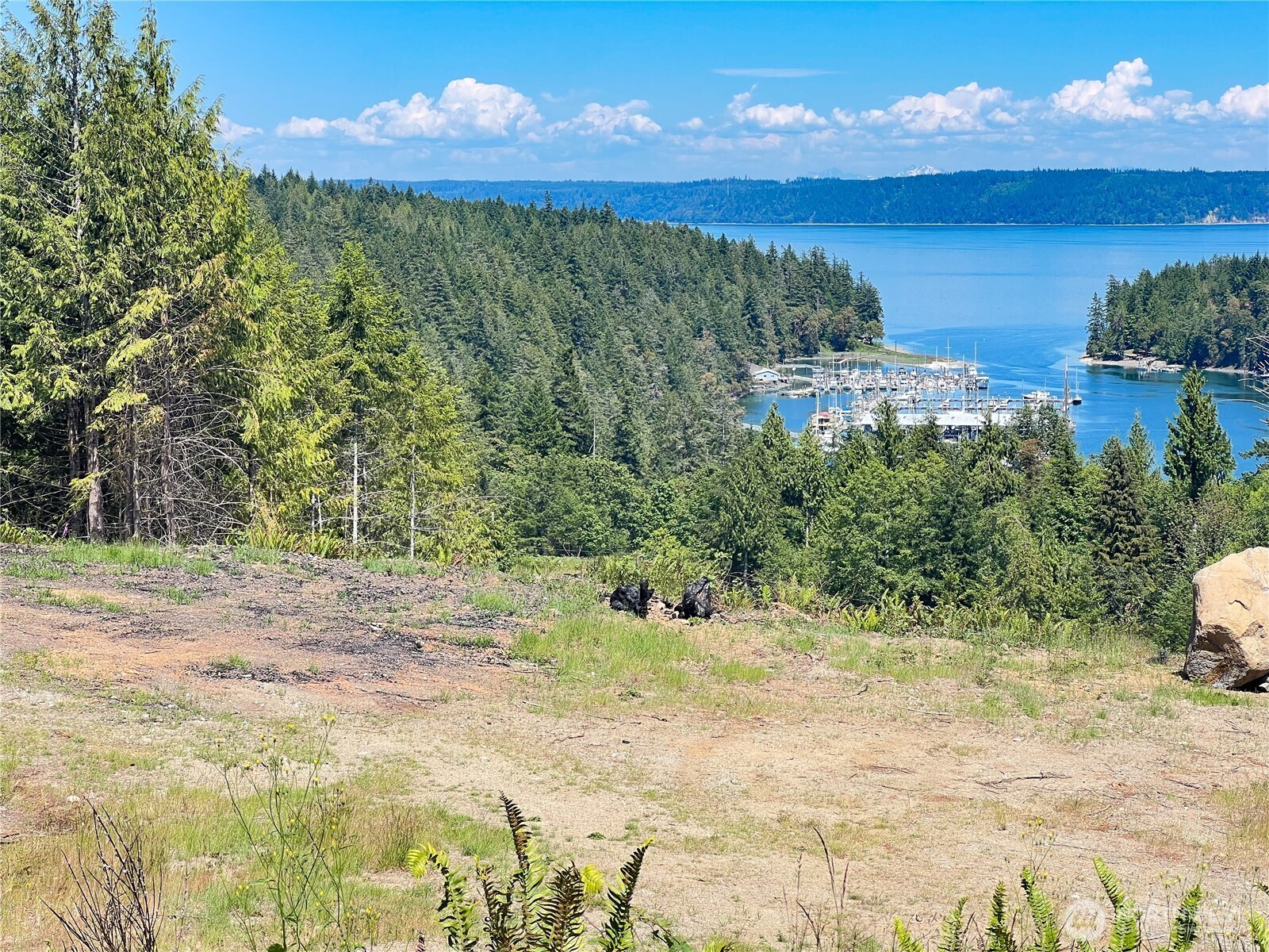 3-xxxx Mt Jupiter Road Brinnon, WA 98320 - Photo 8 of 31 a view of a lake with a yard