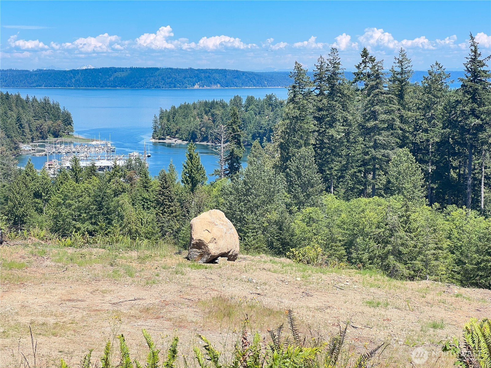 3-xxxx Mt Jupiter Road Brinnon, WA 98320 - Photo 9 of 31 a view of a dry yard with a large tree
