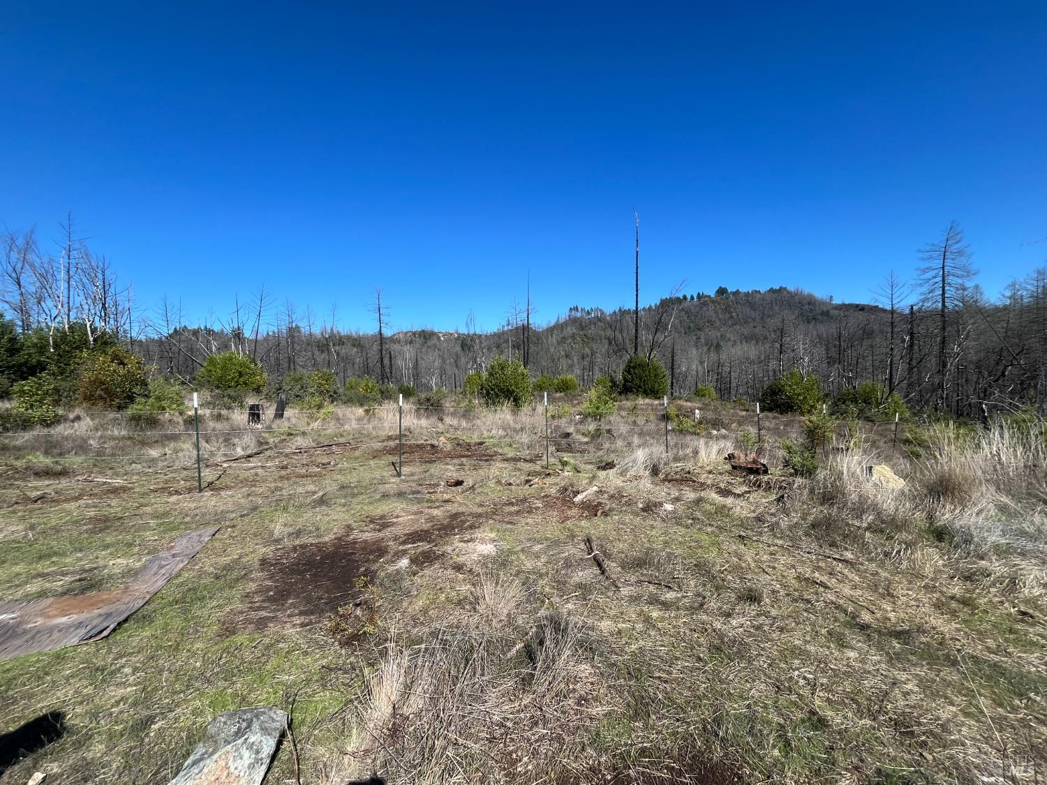 1580 Los Alamos Road Santa Rosa, CA 95404 - Photo 5 of 13 a view of a yard