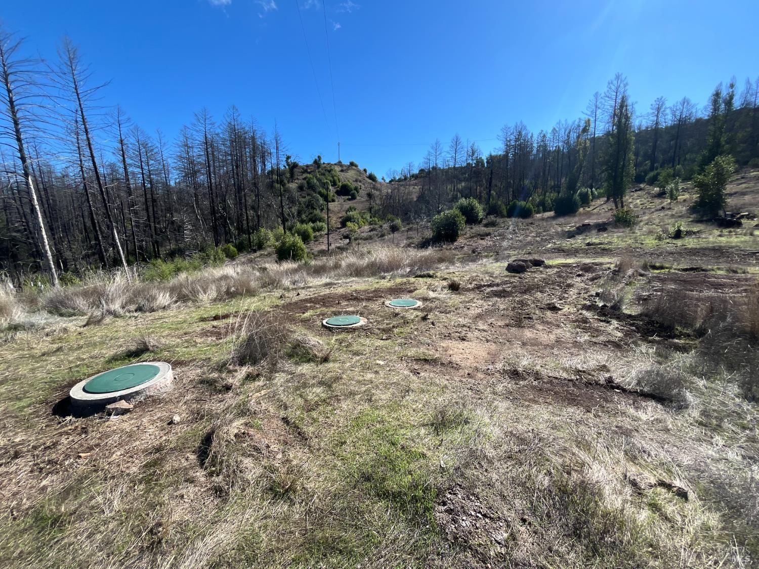 1580 Los Alamos Road Santa Rosa, CA 95404 - Photo 6 of 13 a view of a backyard with trees