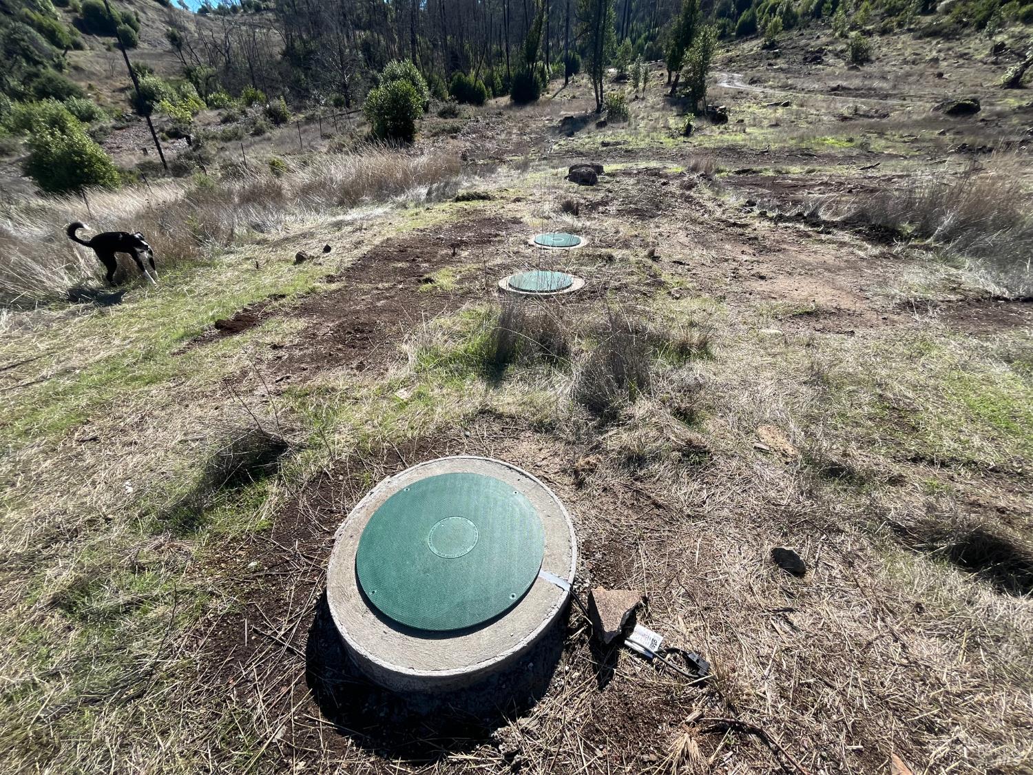 1580 Los Alamos Road Santa Rosa, CA 95404 - Photo 7 of 13 a view of outdoor space and yard