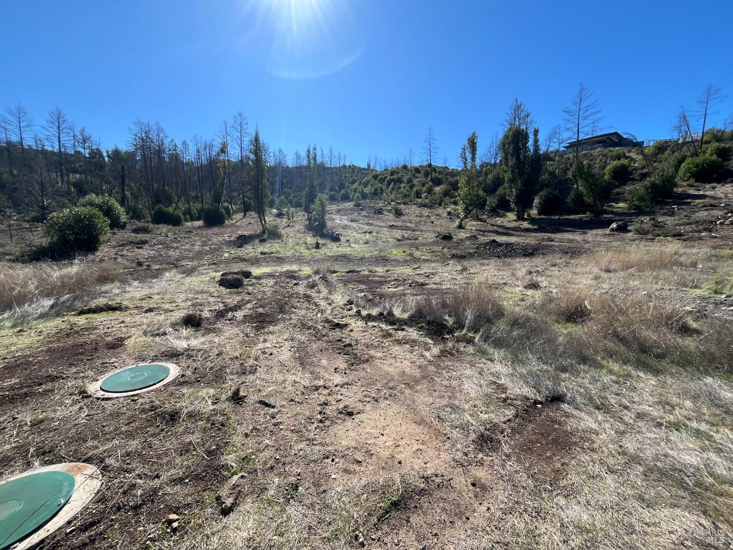 1580 Los Alamos Road Santa Rosa, CA 95404 - Photo 8 of 13 a view of a dry yard with trees