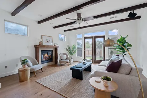 a living room with furniture potted plant and a fireplace