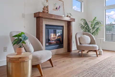 a living room with furniture and a potted plant