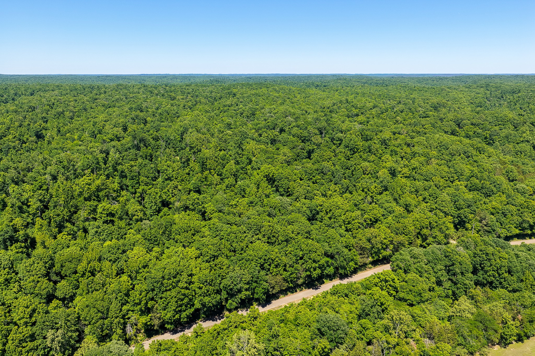 0 Mayberry Prong Road Linden, TN 37096 - Photo 22 of 24