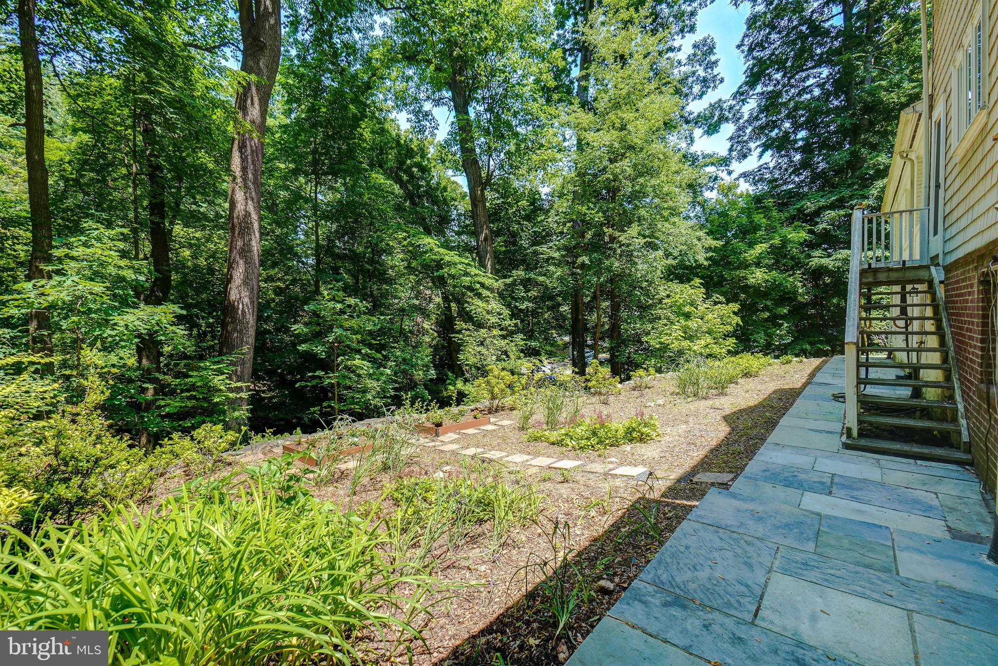 2801 Barker Street Silver Spring, MD 20910 - Photo 54 of 59 Backyard and Stone Pathway