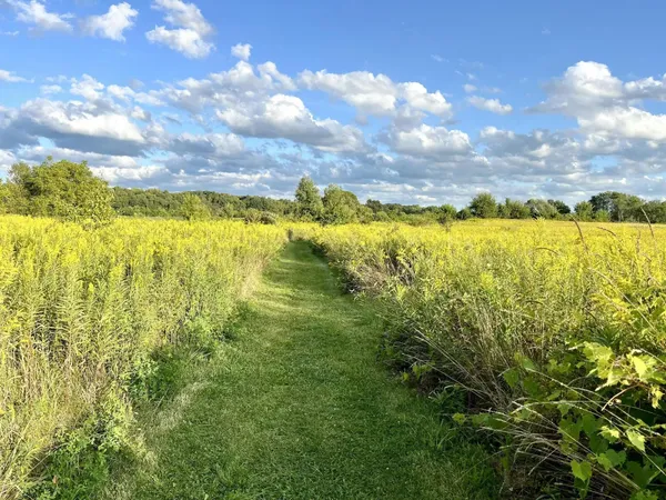 $3,650 | 5849 Lafayette Lane, Ann Arbor, MI 48103