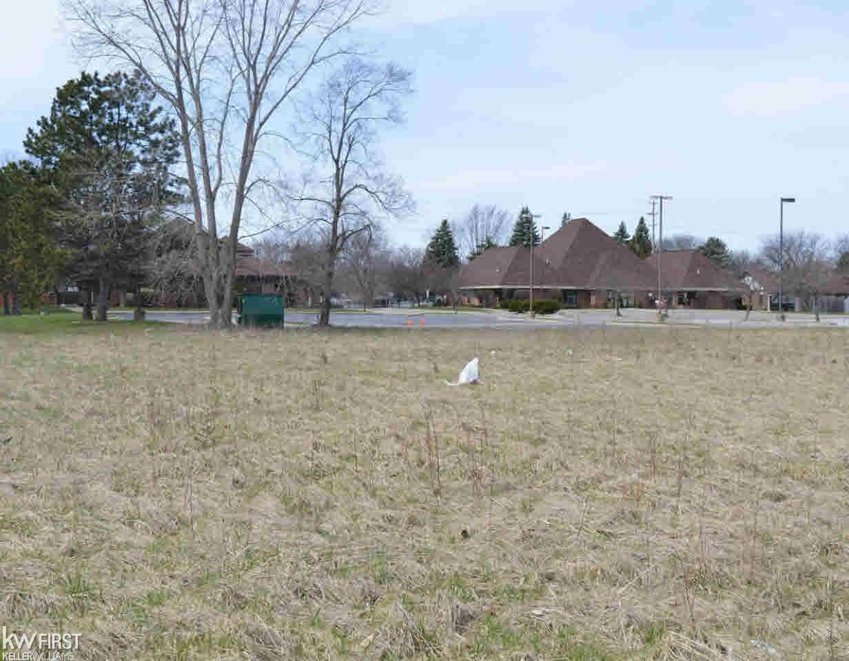 0 Walli Strasse Road Burton, MI 48509 - Photo 3 of 5