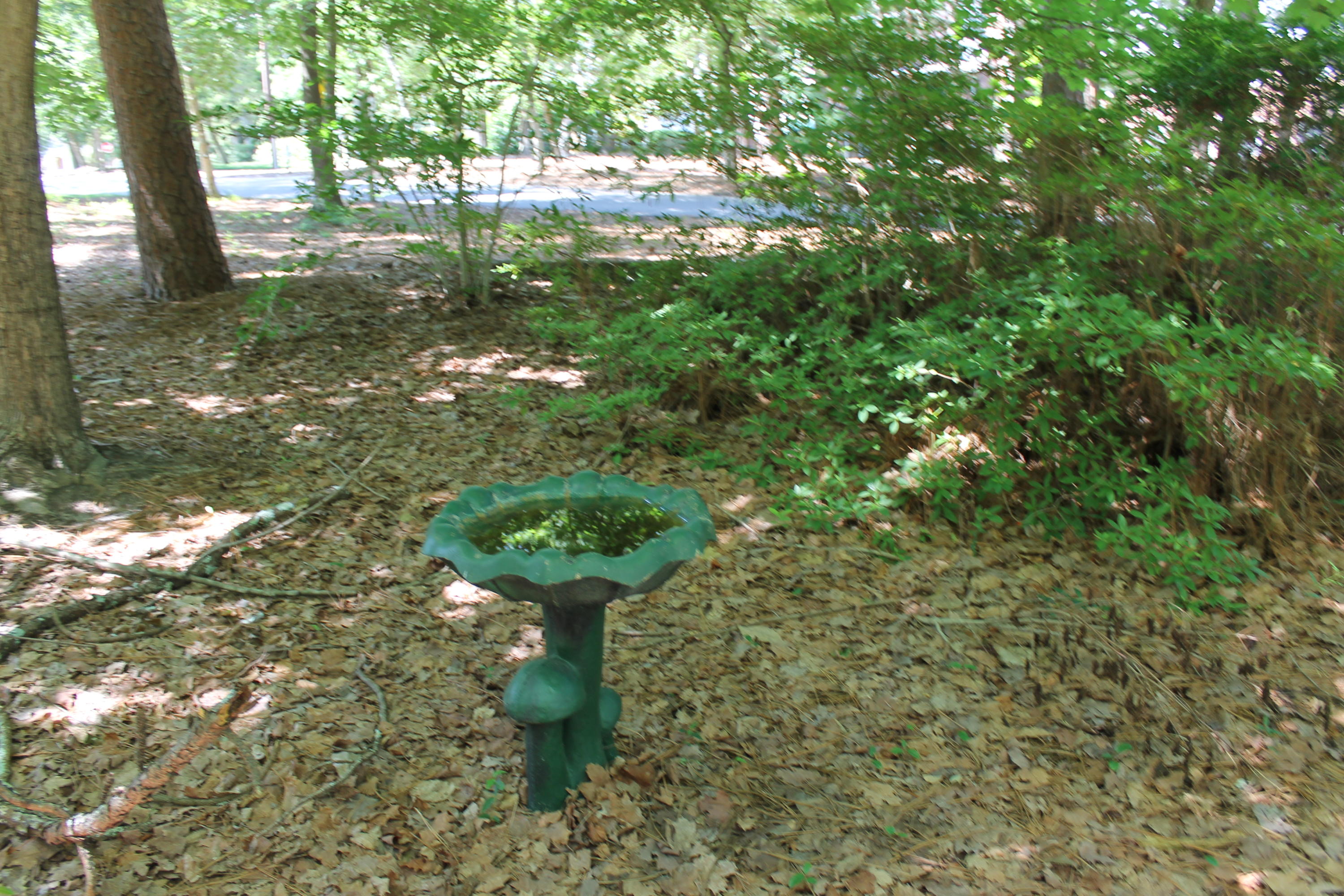 5 Everette Road Pinehurst, NC 28374 - Photo 25 of 25 IMG_6350