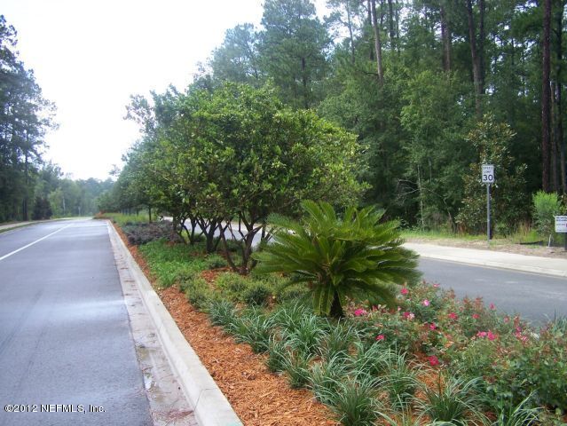 3880 Great Falls Loop Middleburg, FL 32068 - Photo 6 of 32 a view of a garden with pathway