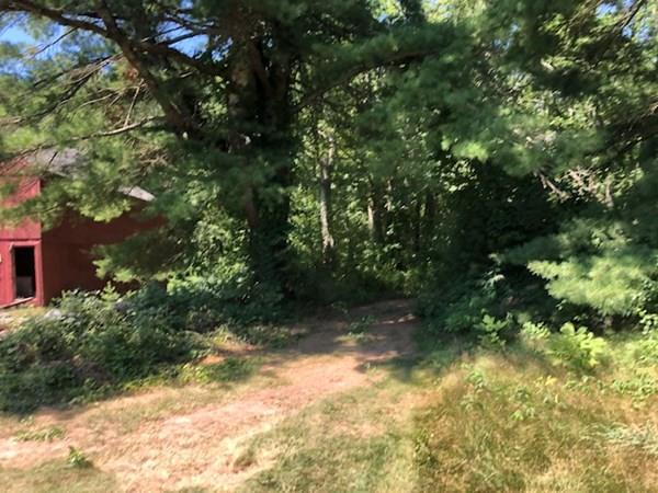 10 Watson Farm Road Northbridge, MA 01534 - Photo 11 of 24