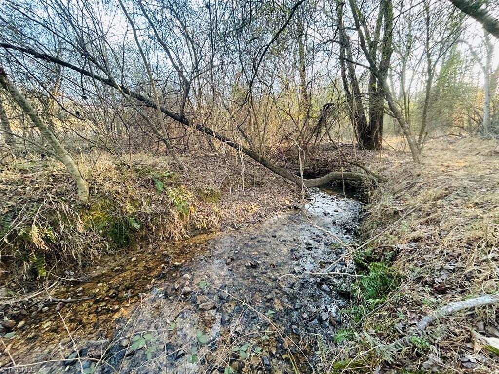 Tbd Asbury Road Westfield, NC 27053 - Photo 12 of 27