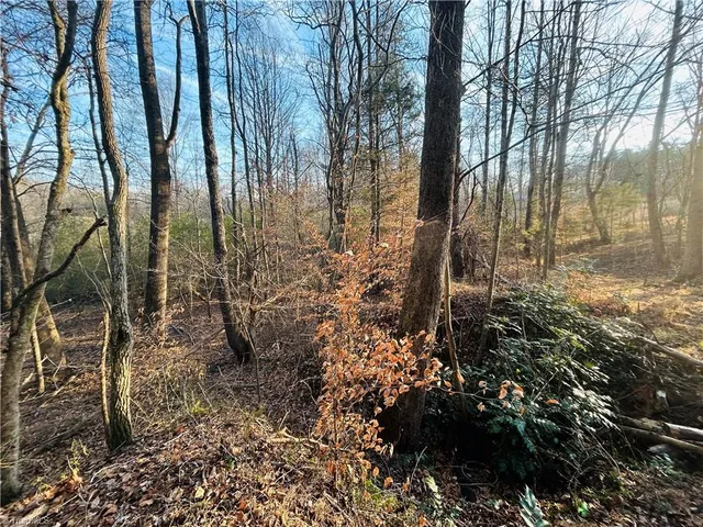$95,000 | Tbd Asbury Road, Westfield, NC 27053