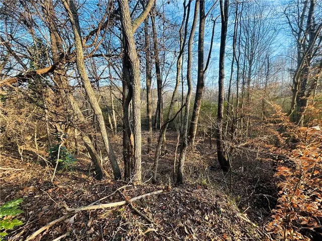 $95,000 | Tbd Asbury Road, Westfield, NC 27053