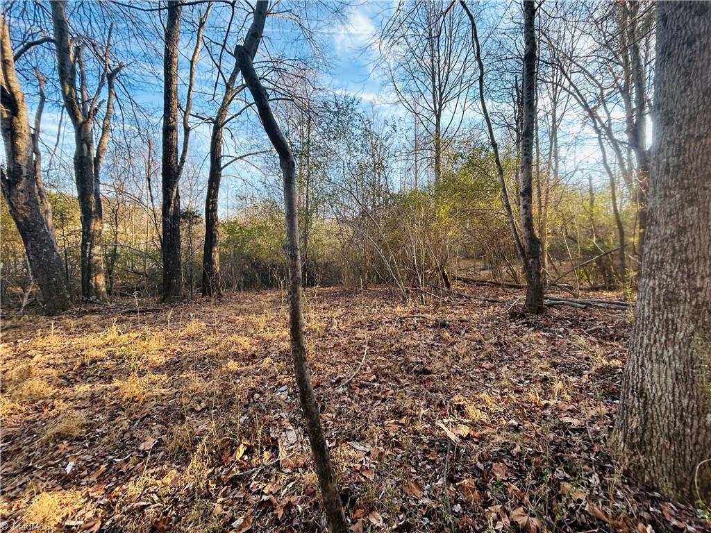 Tbd Asbury Road Mount Airy, NC 27030 - Photo 15 of 27