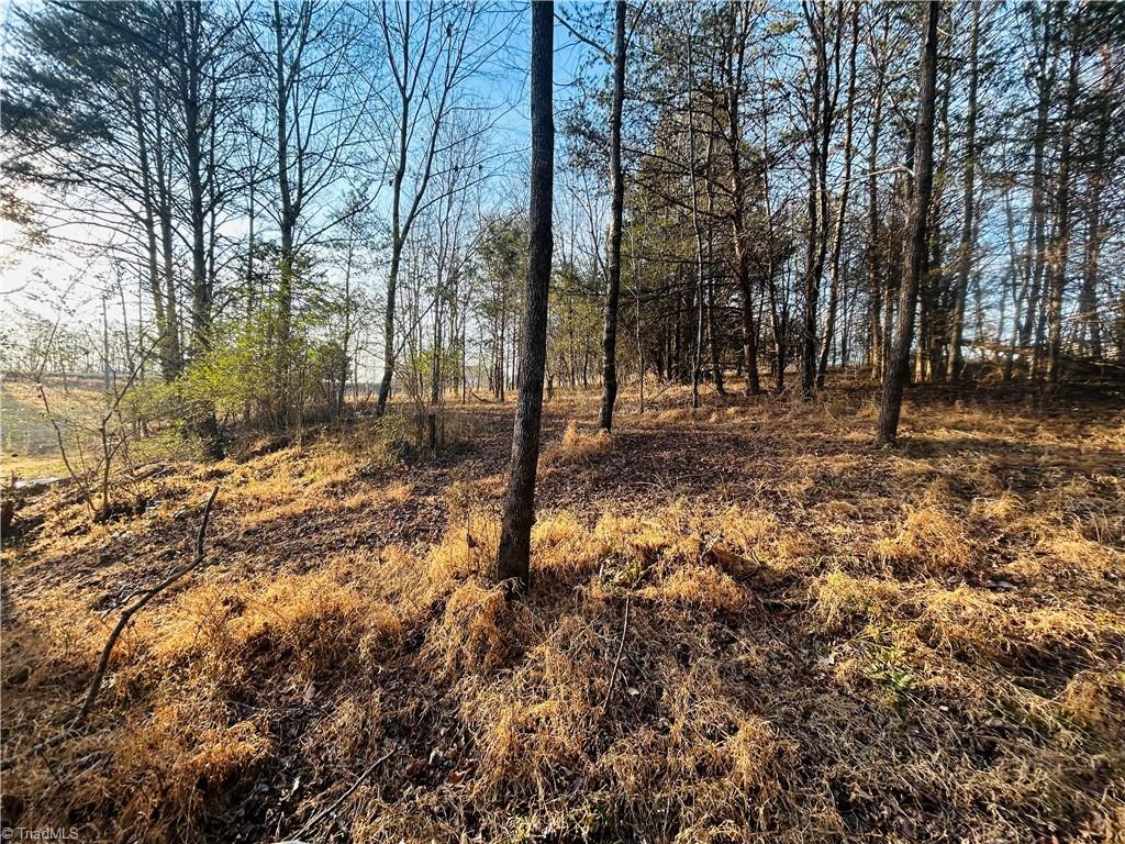 Tbd Asbury Road Westfield, NC 27053 - Photo 16 of 27