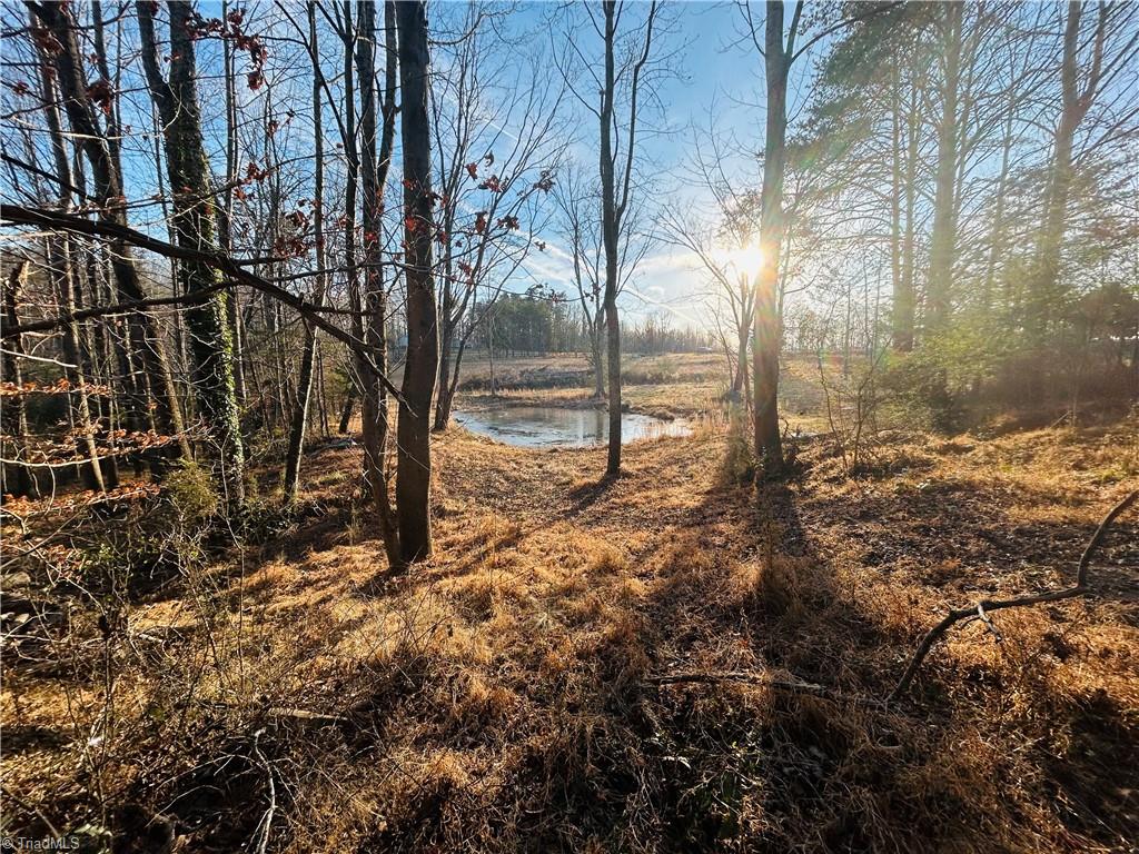 Tbd Asbury Road Mount Airy, NC 27030 - Photo 19 of 27