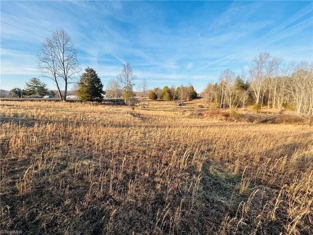 $95,000 | Tbd Asbury Road, Westfield, NC 27053