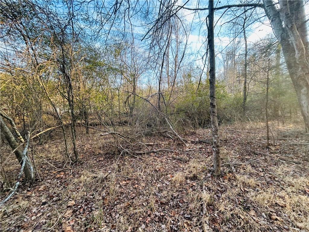 Tbd Asbury Road Mount Airy, NC 27030 - Photo 5 of 27