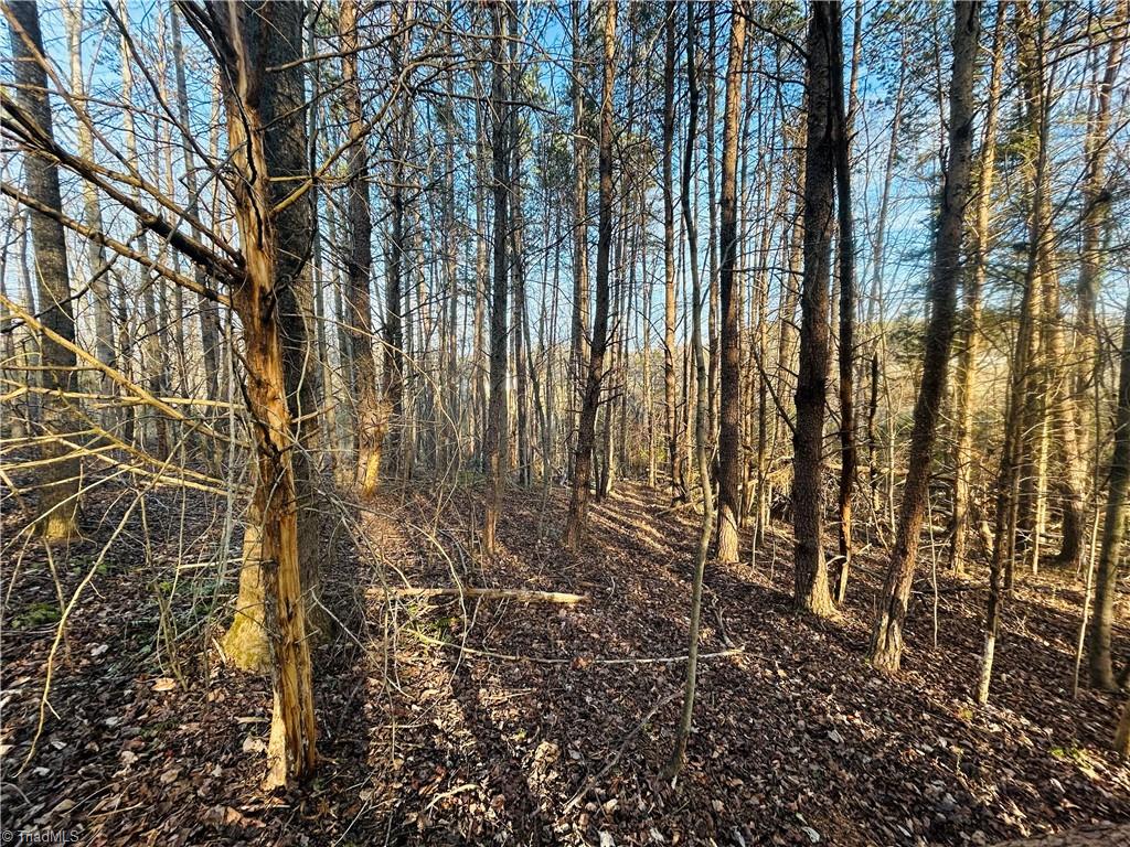 Tbd Asbury Road Westfield, NC 27053 - Photo 9 of 27