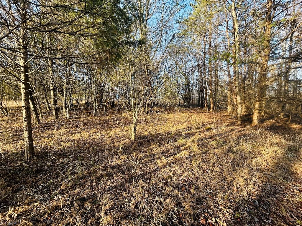 Tbd Asbury Road Mount Airy, NC 27030 - Photo 10 of 27