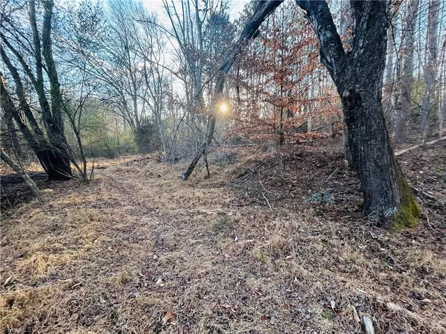 $95,000 | Tbd Asbury Road, Westfield, NC 27053