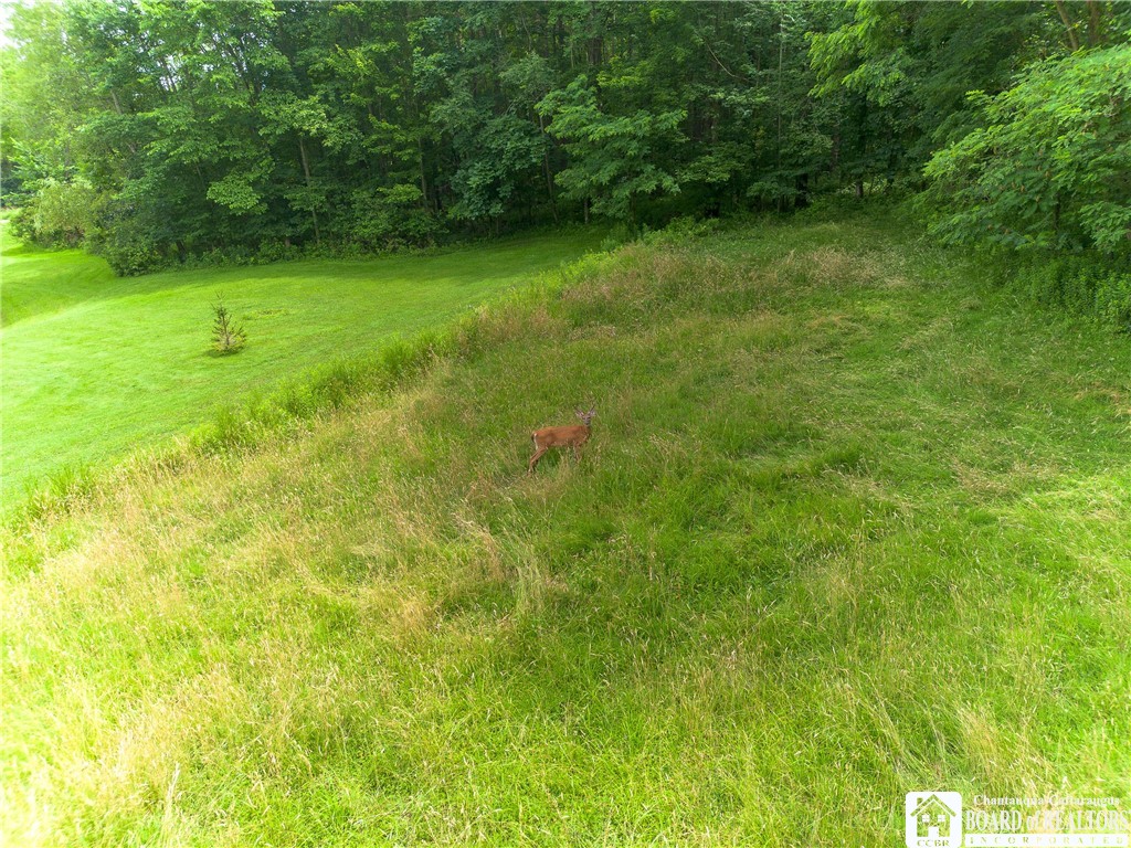 691 Kiantone Road Kiantone, NY 14701 - Photo 43 of 48