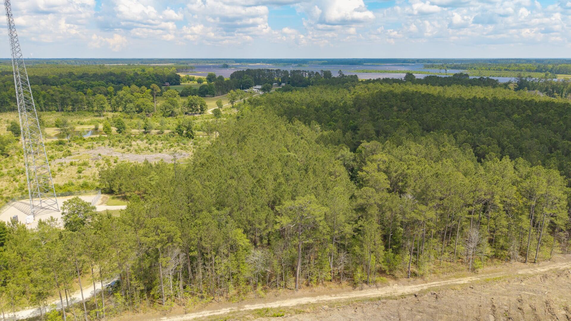 6222 Saints Delight Road, Unit LOT 8 Georgetown, SC 29440 - Photo 26 of 26