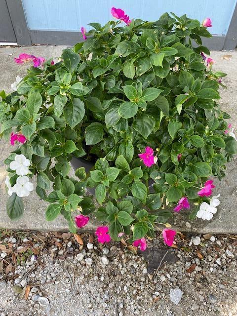 8680 Highway 441, Unit BA8 Okeechobee, FL 34974 - Photo 11 of 18 IMG_4760