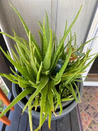 $1,750 | 8680 Highway 441, Unit BA8, Okeechobee, FL 34974