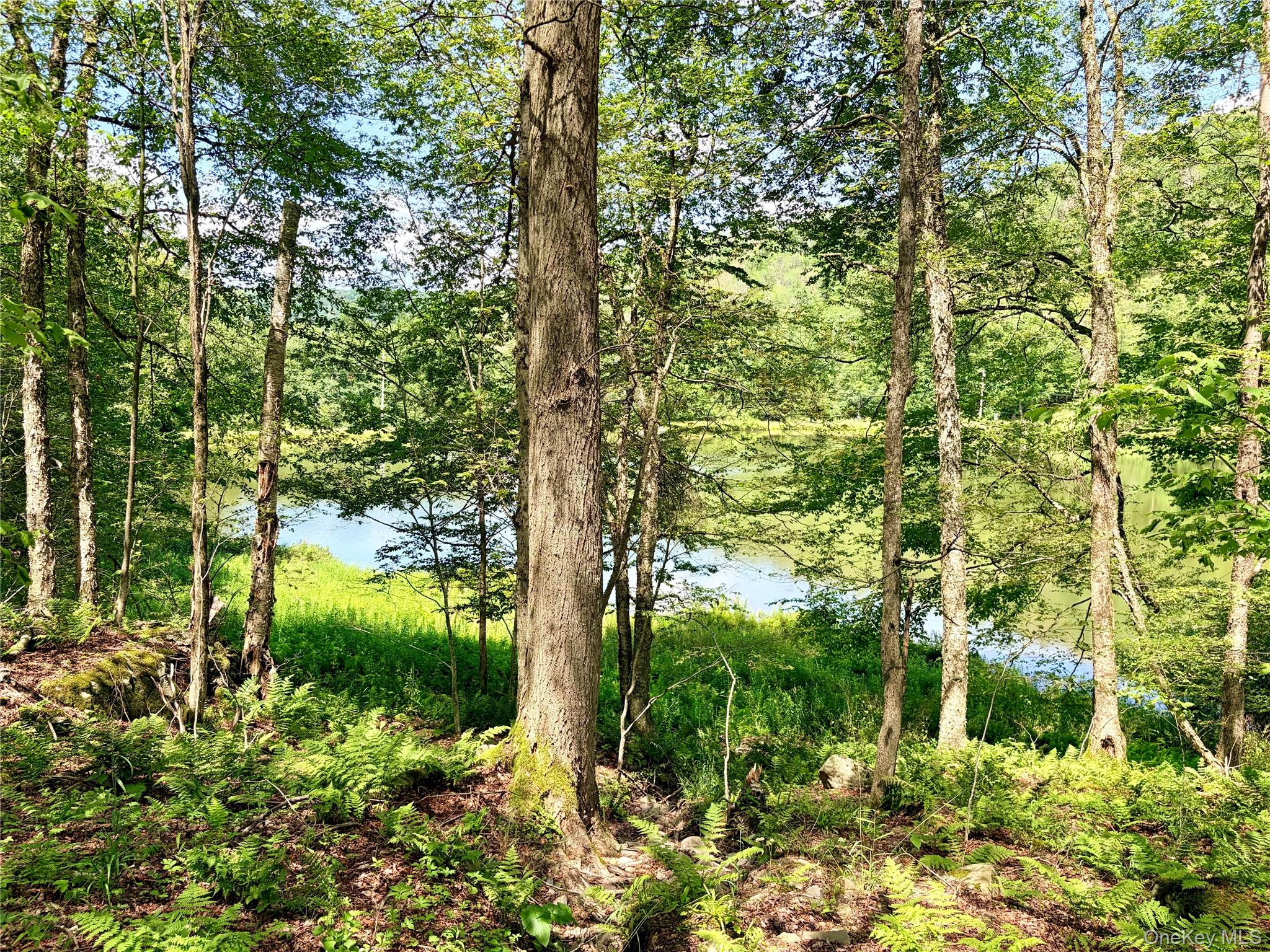 Doyle Road Roscoe, NY 12776 - Photo 3 of 14
