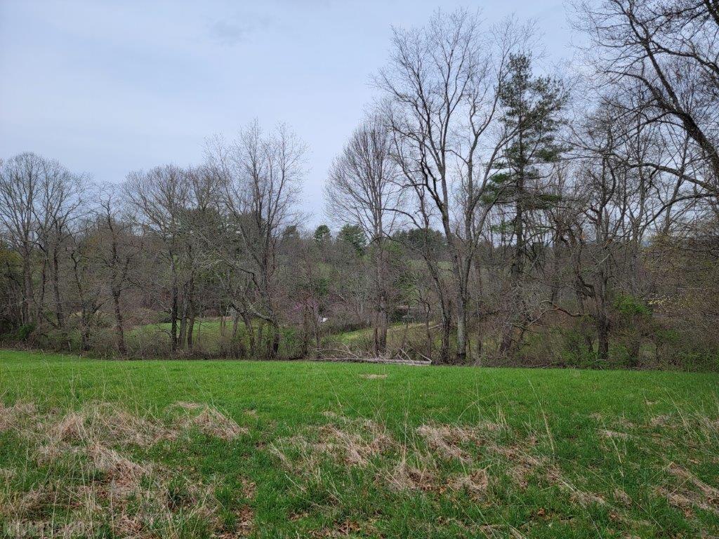 Tbd Hunters Ridge Road Dugspur, VA 24325 - Photo 19 of 65 Gallery Image 19