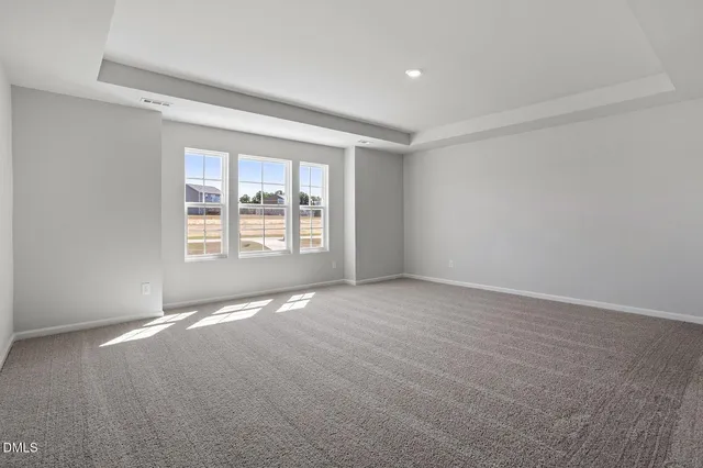 a view of a park with large trees